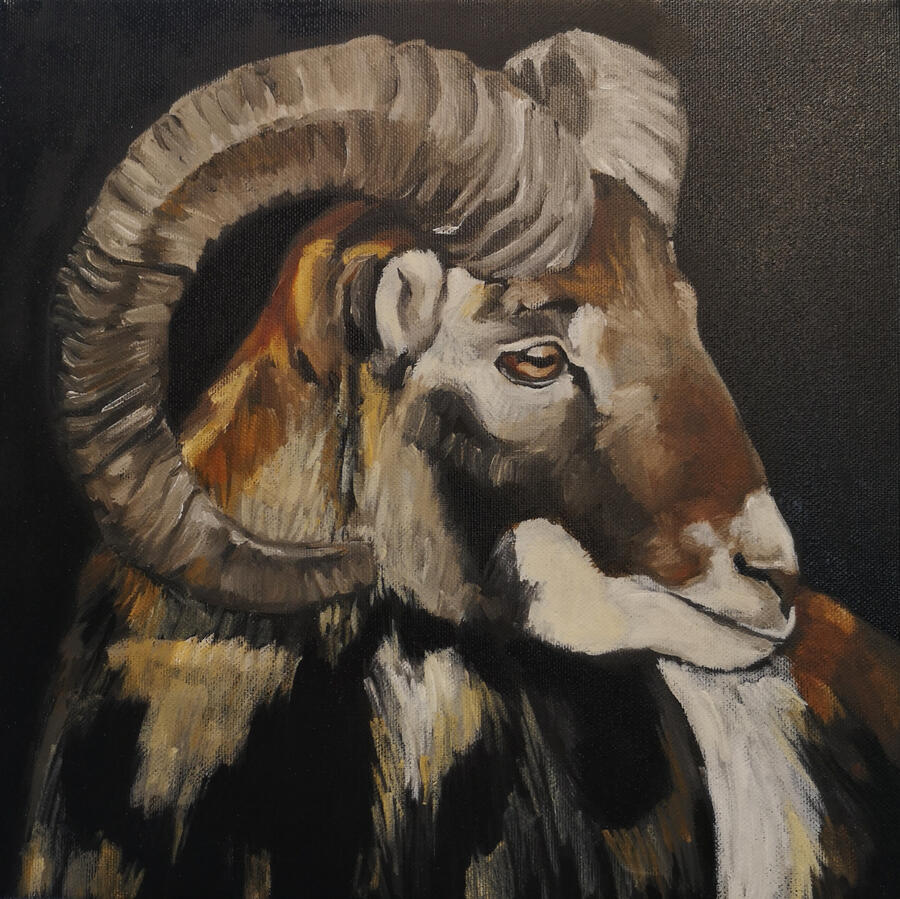 In opdracht: moeflon1, 30x30, olieverf op doek