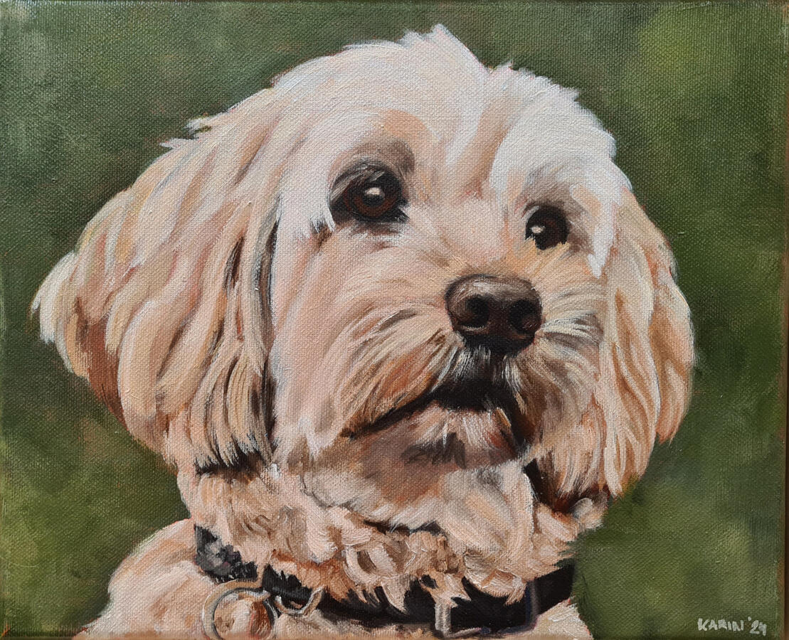 Jindy, olieverf op doek, 30 x 40 cm, in opdracht