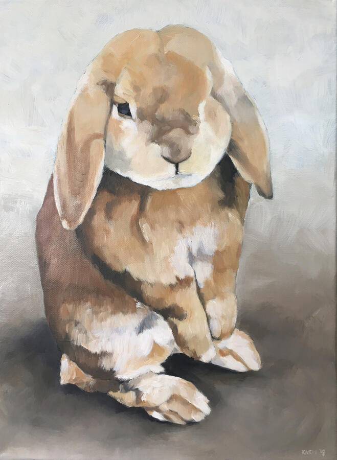 Joepie, olieverf op doek, 30x40cm