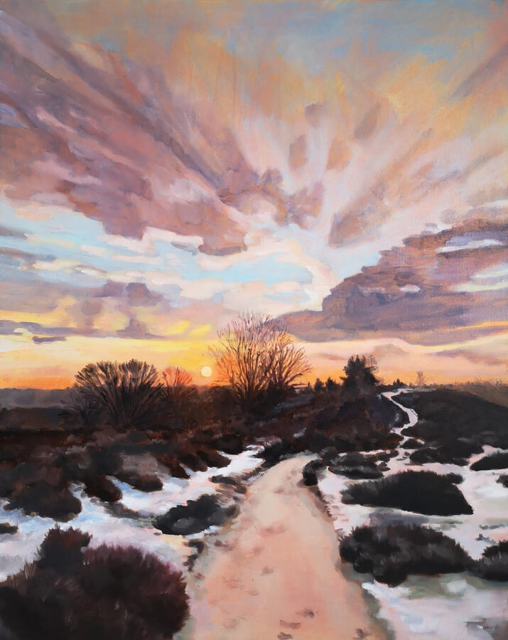 Posbank, 80x100cm, olieverf op doek, €800,- verkocht