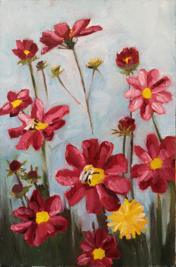 Mexicaanse aster, olieverf op paneel, 20 x 30 cm, €250,-